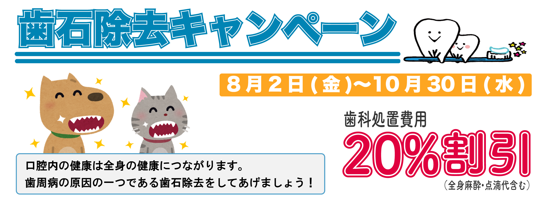 8月2日 金 歯石除去キャンペーン はな動物病院